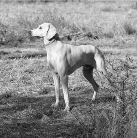 Billy en photo